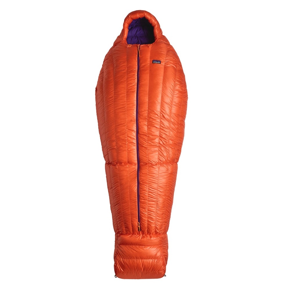 Patagonia 850 Down Sleeping Bag 19 F/-7 C - Regular Length